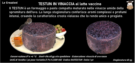 TESTUN IN VINACCIA al latte vaccino 2,5 kg ca.