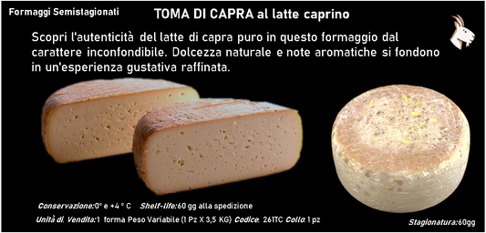 TOMA DI CAPRA al latte caprino 3,5 kg ca.